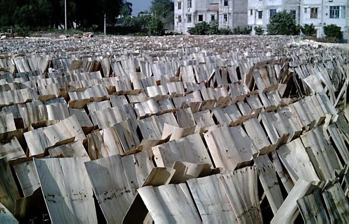 �D���ΰ��� �c���ɷŴ�