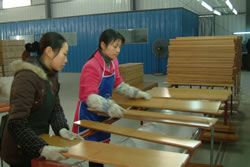 �D��Ʒ�z �c���ɷŴ�