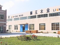 �D��lionkingtimber �c���ɷŴ�