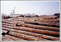 �D��ľ�ġ�ľ��Ʒ�ӹ����N�� �c���ɷŴ�