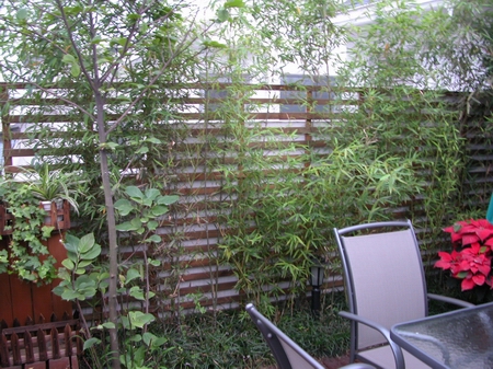 �D�����Ō����� �c���ɷŴ�