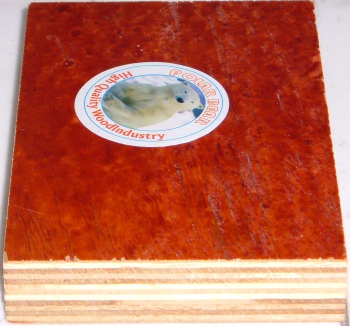 �D��ģ�� �c���ɷŴ�