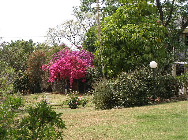 �D��ס�һ��@ �c���ɷŴ�