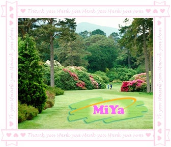 �D������ �c(di��n)���ɷŴ�