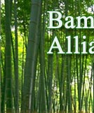 �D��bambootrade �c���ɷŴ�