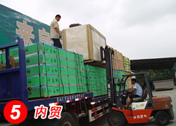 �D�����Q �c���ɷŴ�