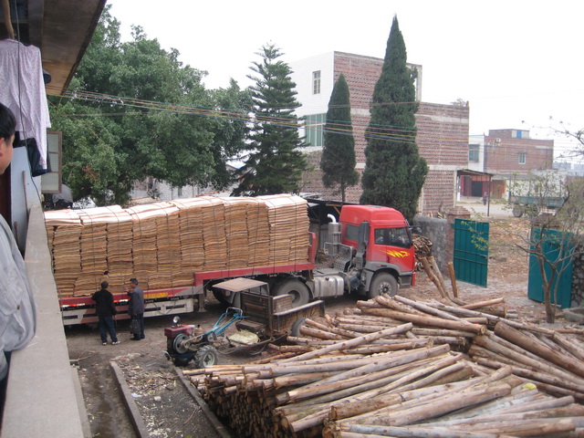 �D���l܇ �c���ɷŴ�