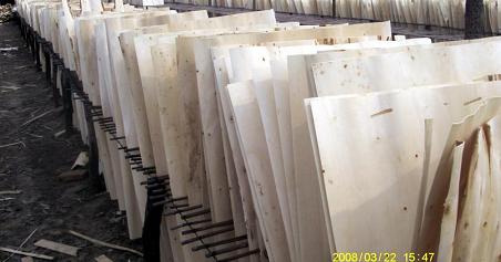 �D����ľ�ΰ� �c���ɷŴ�