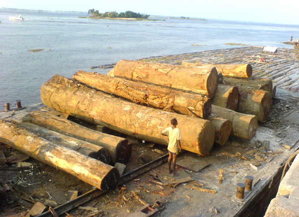 �D���\؛�g�� �c���ɷŴ�