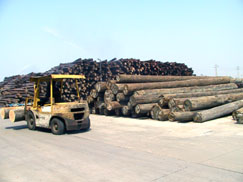 �D����˾���� �c���ɷŴ�