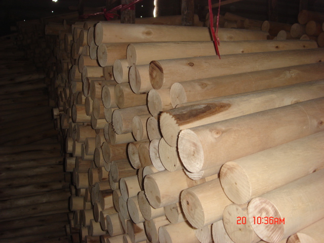 �D����ľ�@�� �c���ɷŴ�