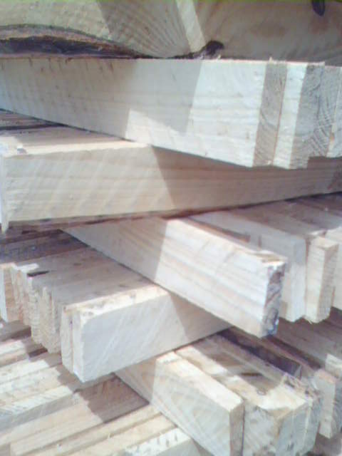 �D����ľ��ľ����l �c���ɷŴ�