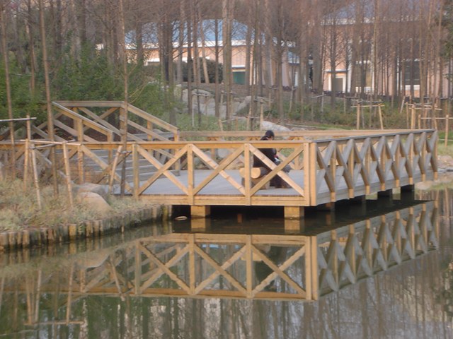 �D���Ϻ�����ľ���ϣ��Ϻ�����ľë�� �c���ɷŴ�