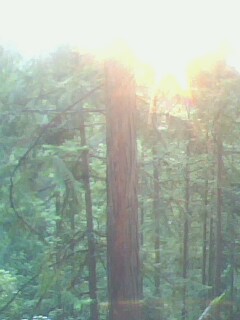 �D��ɼľ �c���ɷŴ�