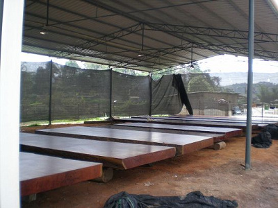 �D���S�� �c���ɷŴ�