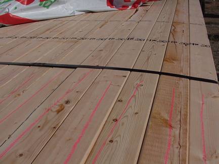 �D�����ô���ľ ��SPF) �c���ɷŴ�