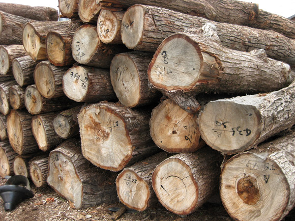 �D��ԭľ �c(di��n)���ɷŴ�