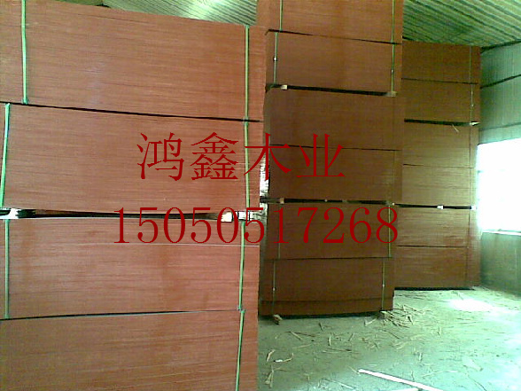 �D���t�� �c(di��n)���ɷŴ�