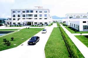 �D���@�^�L�� �c���ɷŴ�