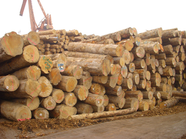 �D����˾ľ�� �c���ɷŴ�