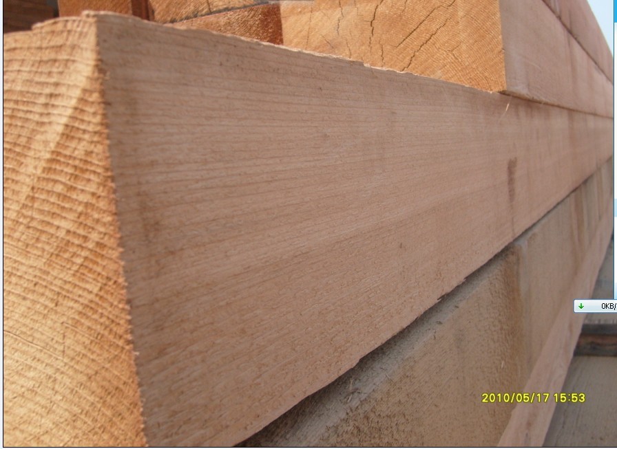 �D���t��� �c(di��n)���ɷŴ�