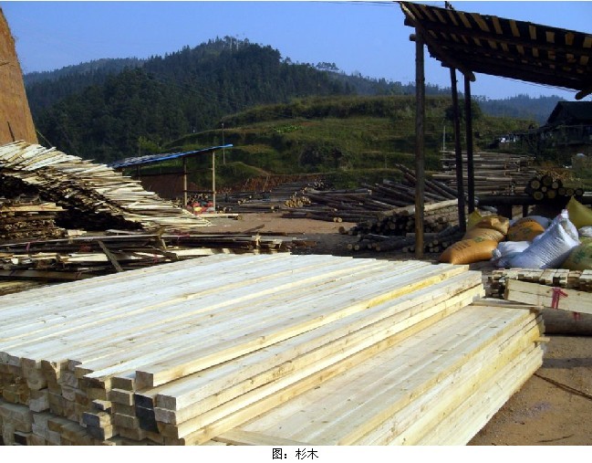 �D���������̣�ɼľ�˜ʣ����l �c���ɷŴ�