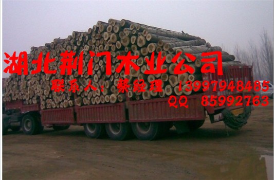 �D�������G�Tľ�I��˾ �c���ɷŴ�