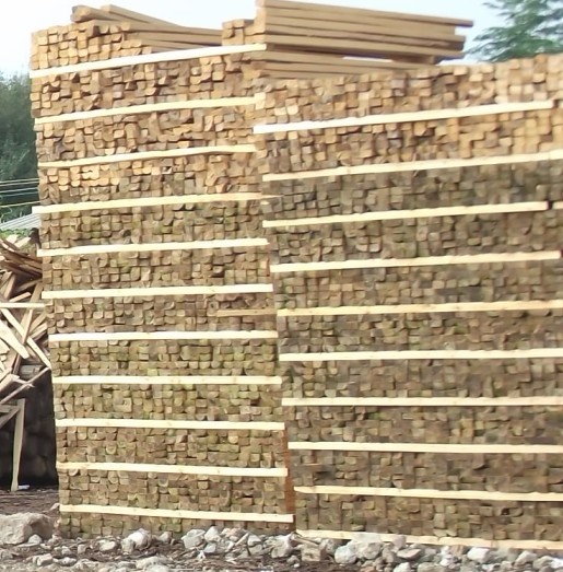 �D������ɼľ�� �c���ɷŴ�