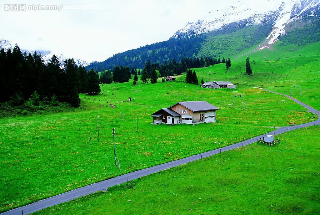 �D���L�� �c���ɷŴ�