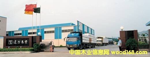 �D����˾���� �c���ɷŴ�