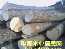 �D�����NҎ��ԭľ �c���ɷŴ�