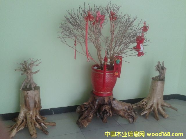 �D����˾һ̎�Ⱦ� �c���ɷŴ�