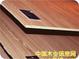 �D������/���ܶ��w�S����һ���ذ�Ʒ�Ƶ����x���  �c���ɷŴ�