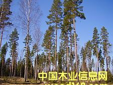 �D��BOMC.AB �c���ɷŴ�