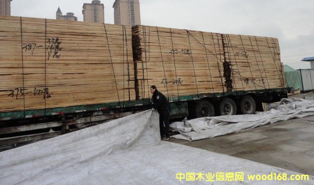 �D�������ɰ��ж܇�F�� �c���ɷŴ�