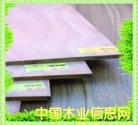 �D�����B�� �c���ɷŴ�