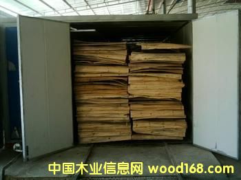 �D��ľ�ĺ���O�� �c���ɷŴ�