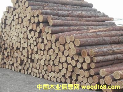 �D�����~��ԭľ �c���ɷŴ�