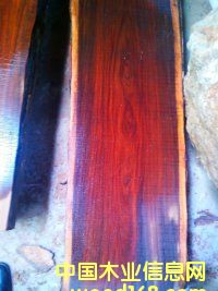 �D�����K���ݬF؛ԭľ���~��̴ֱ��35--65�����L��2.8�� �c���ɷŴ�