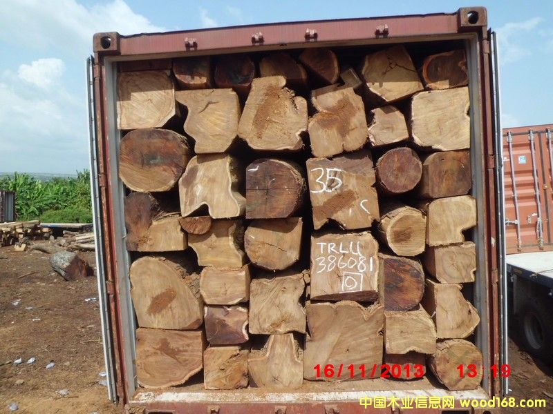 �D���Ӽ{������ �����̴ �ǻ� ���S �c���ɷŴ�