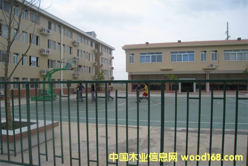 �D����� �c���ɷŴ�