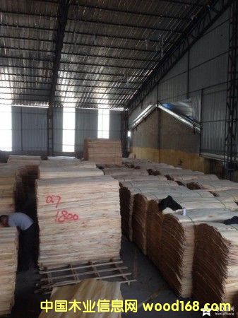 �D����ľ�ΰ� �c���ɷŴ�