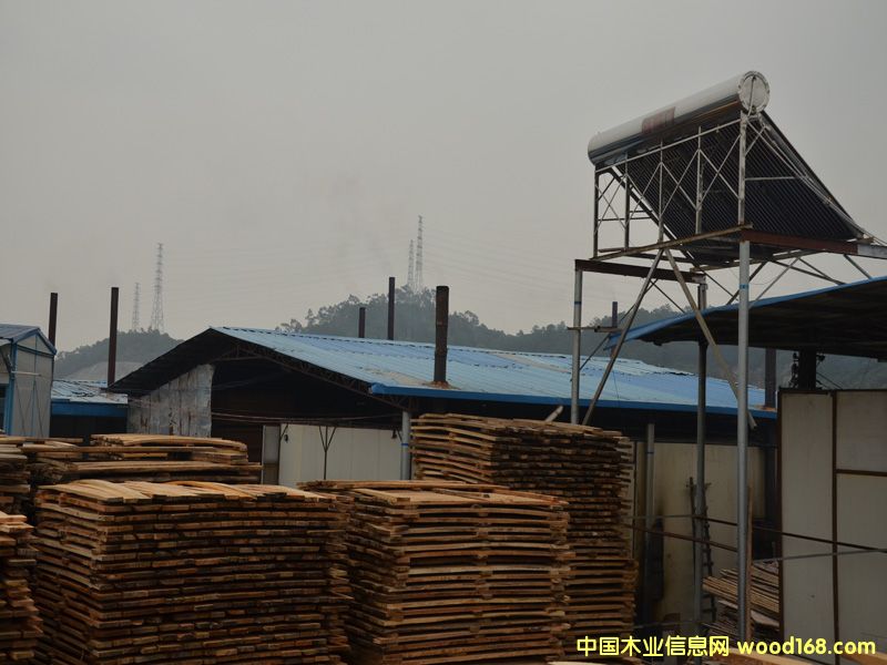 �D����Ɉ����� �c���ɷŴ�