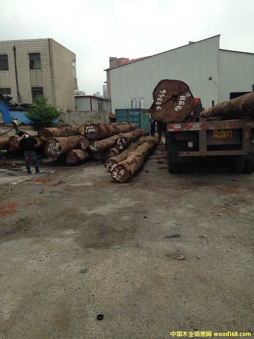 �D����˾��ӬF�� �c���ɷŴ�