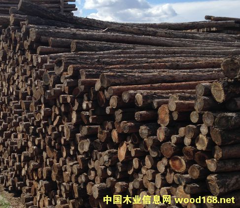 �D��ľ�ĈDƬ �c(di��n)���ɷŴ�