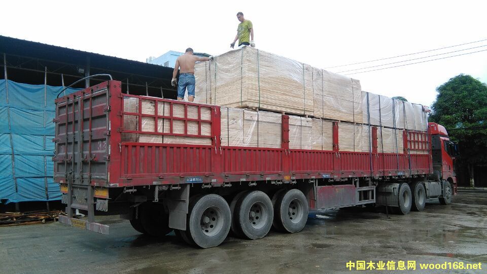 �D���l؛�F�� �c���ɷŴ�