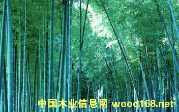 �D�����|��Ƭ �c���ɷŴ�