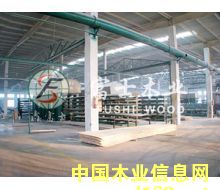 �D�����S܇�g �c���ɷŴ�