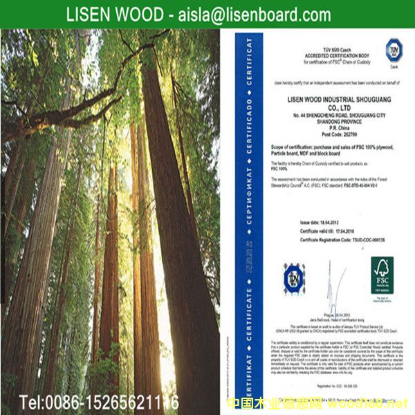 �D��FSC ɭ���wϵ�J�C �c���ɷŴ�