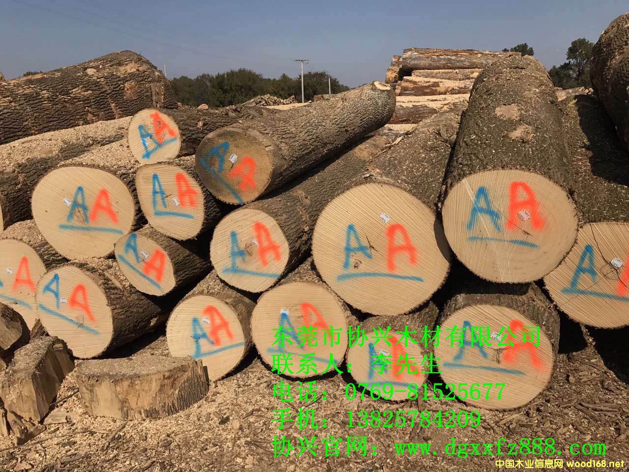 �D�������M�ڰ�Ϟľ �c���ɷŴ�